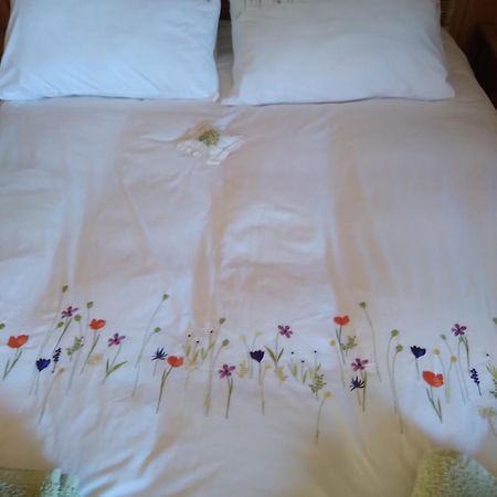 Le Fied Les Dames De La Saugiat B&B 외부 사진